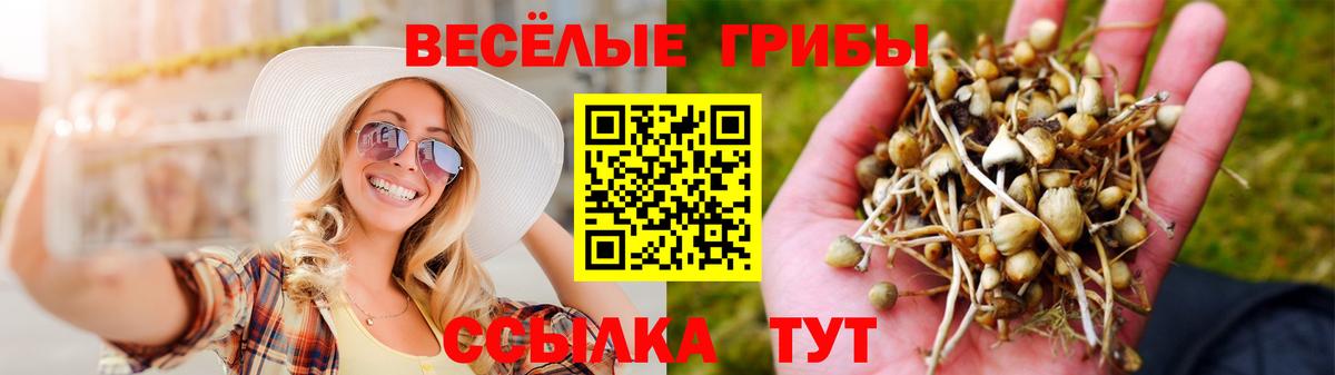 купить наркотики сайты  Вход с VPN  Красноуфимск  Псилоцибиновые грибы мухоморы 